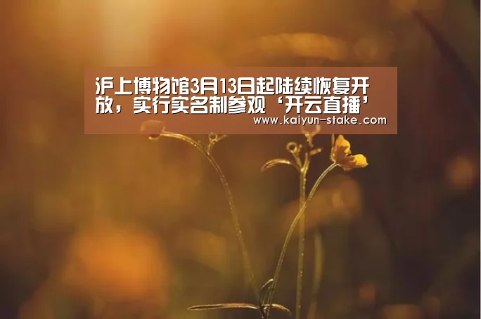 开云聚合
