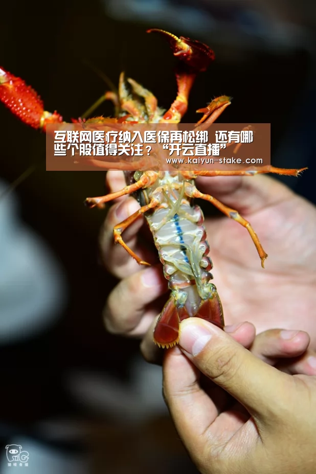 互联网医疗纳入医保再松绑 还有哪些个股值得关注?“开云直播”(图4) 开云赛程