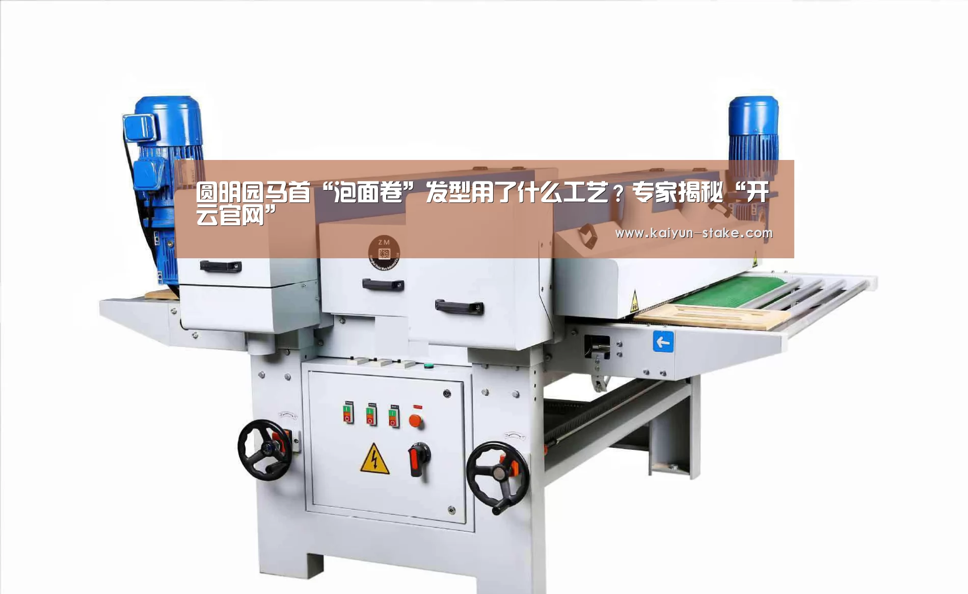 圆明园马首“泡面卷”发型用了什么工艺?专家揭秘“开云官网”(图1) 开云聚合