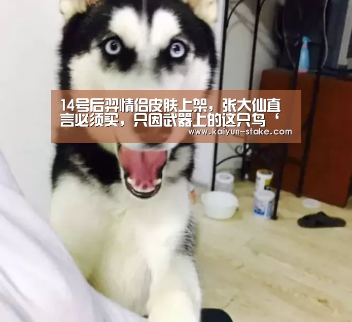 开云官网