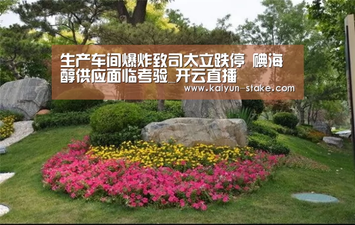 生产车间爆炸致司太立跌停 碘海醇供应面临考验_开云直播(图2) 开云官网