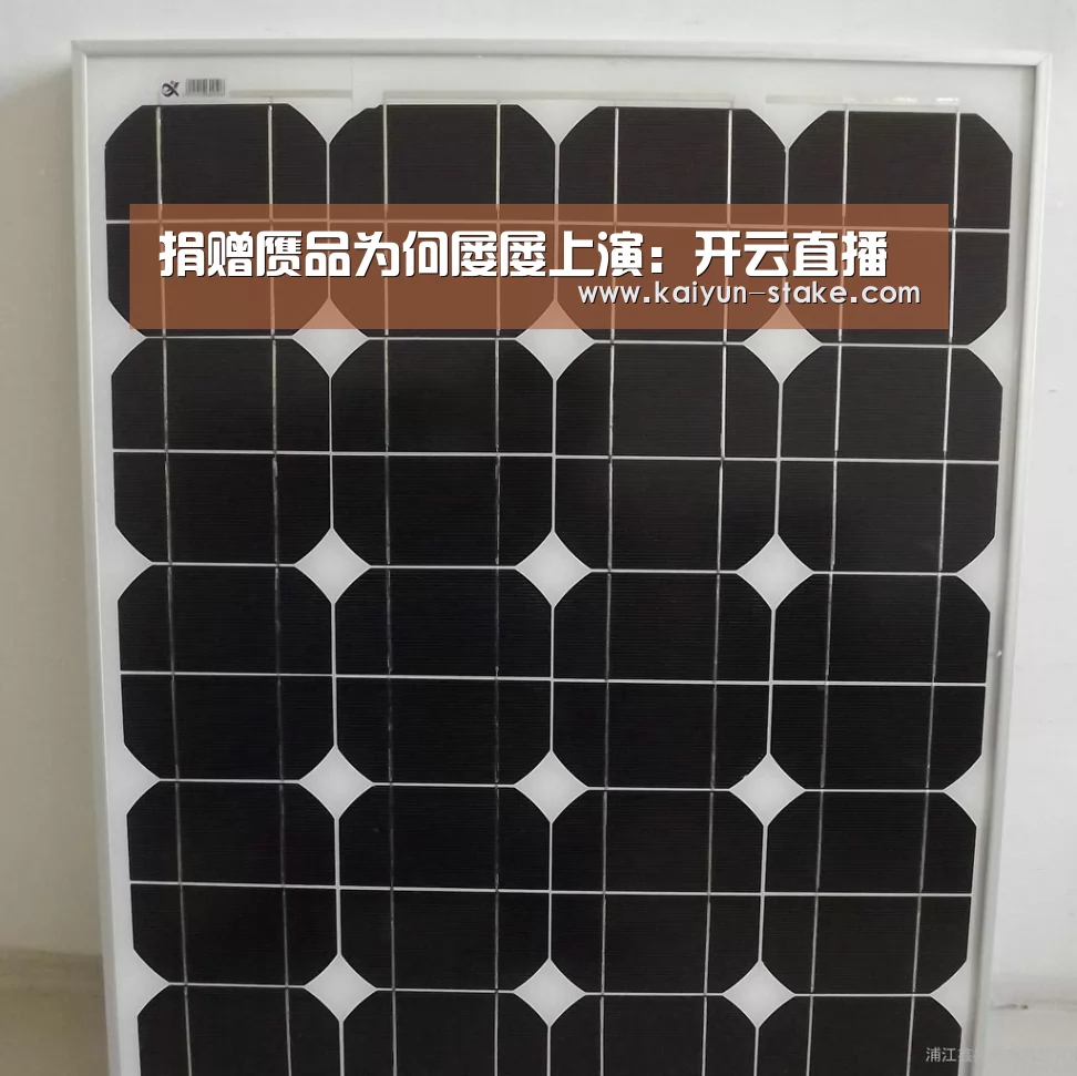 捐赠赝品为何屡屡上演:开云直播(图4) 开云聚合