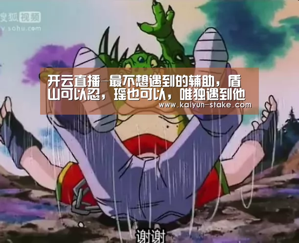 开云直播-最不想遇到的辅助,盾山可以忍,瑶也可以,唯独遇到他心态就炸了(图1) 开云赛程