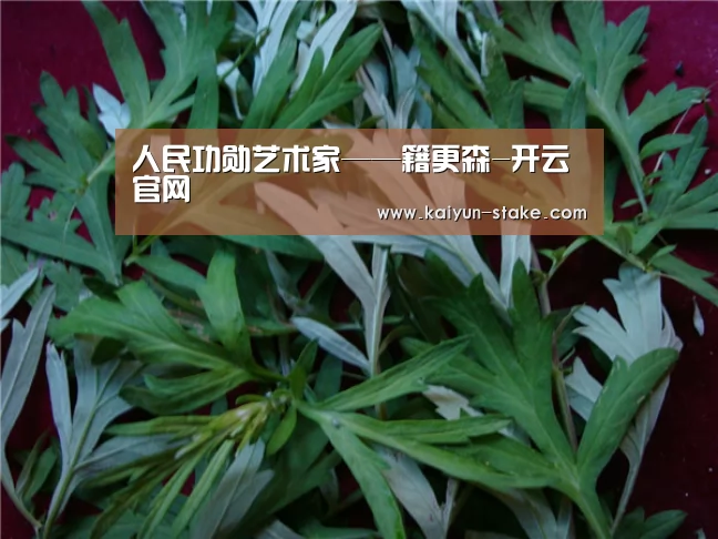 人民功勋艺术家——籍更森-开云官网(图3) 开云官网