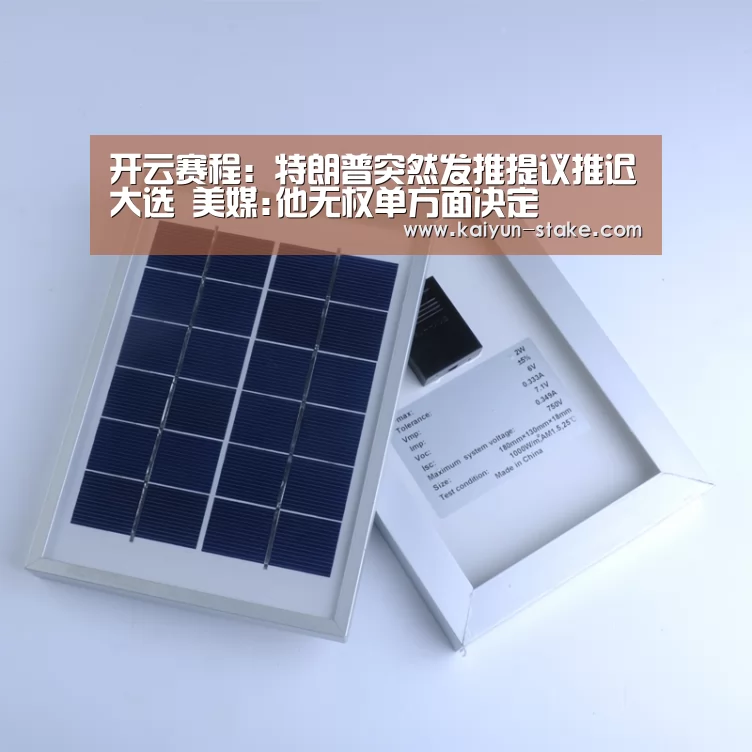 开云赛程:特朗普突然发推提议推迟大选 美媒:他无权单方面决定(图1) 开云直播