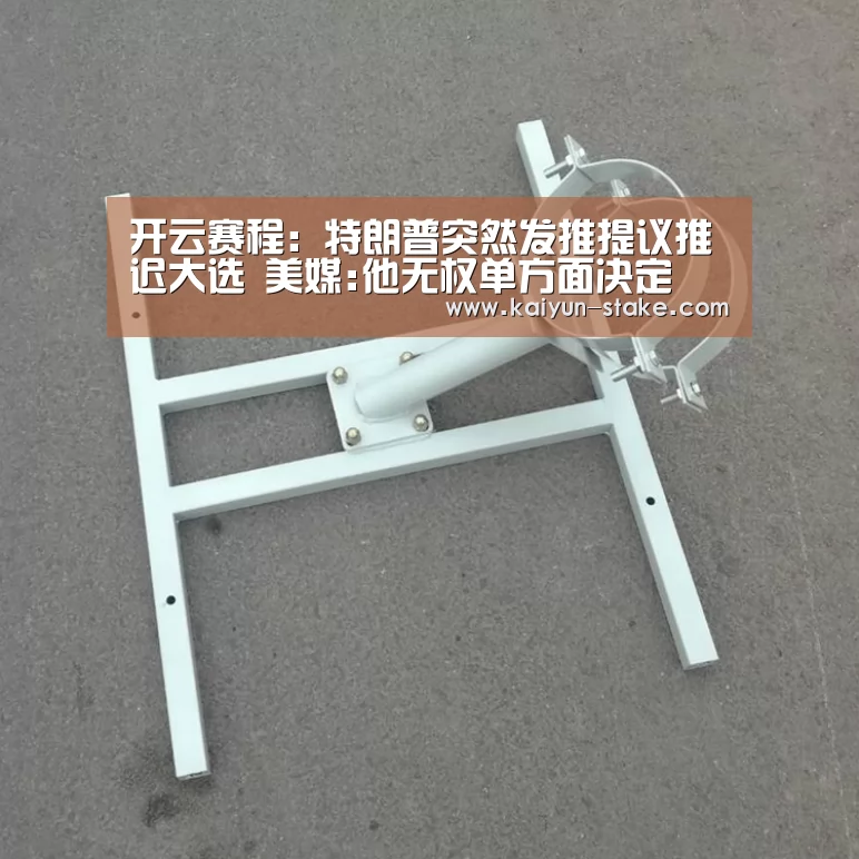开云赛程:特朗普突然发推提议推迟大选 美媒:他无权单方面决定(图2) 开云官网