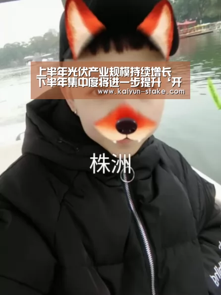 上半年光伏产业规模持续增长 下半年集中度将进一步提升‘开云官网’(图1) 开云直播