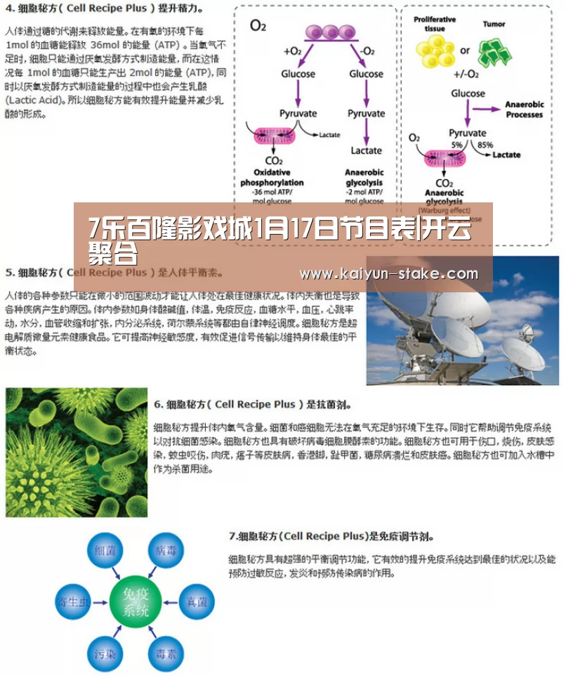 7乐百隆影戏城1月17日节目表|开云聚合(图3) 开云直播