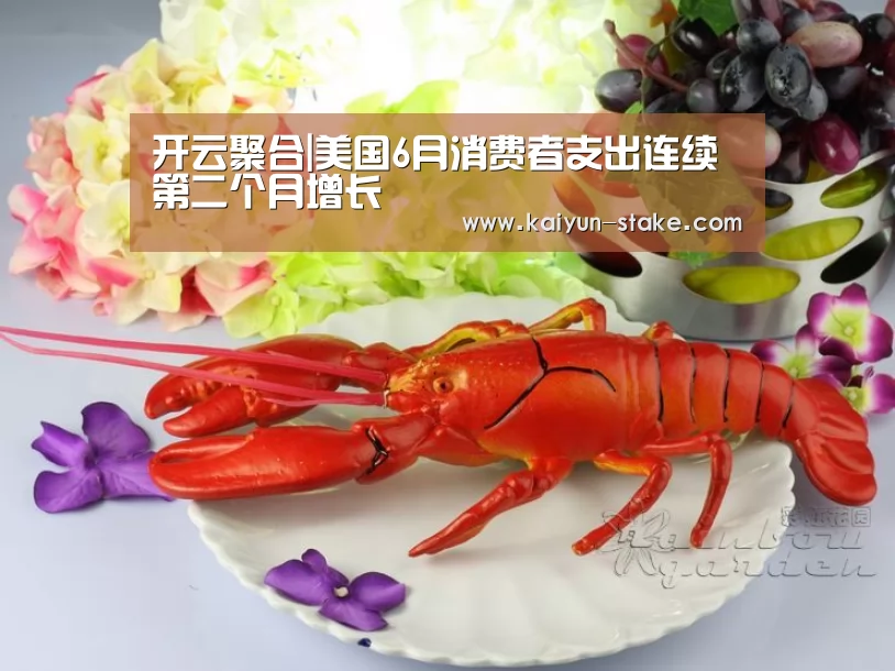 开云聚合|美国6月消费者支出连续第二个月增长(图1) 开云聚合