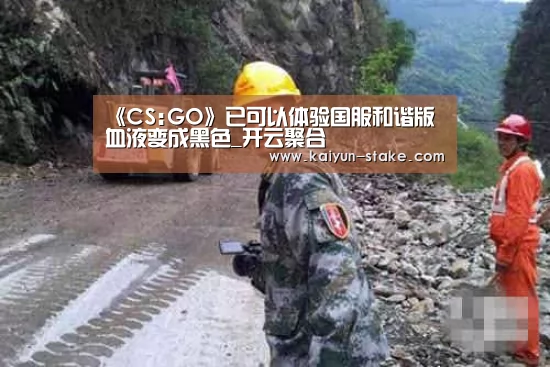 《CS:GO》已可以体验国服和谐版 血液变成黑色_开云聚合(图2) 开云官网