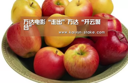 开云赛程