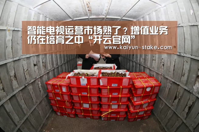 智能电视运营市场熟了?增值业务仍在培育之中“开云官网”(图1) 开云赛程