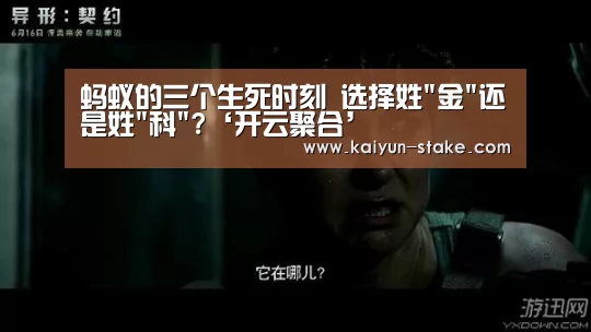 蚂蚁的三个生死时刻 选择姓金还是姓科?‘开云聚合’(图1) 开云官网