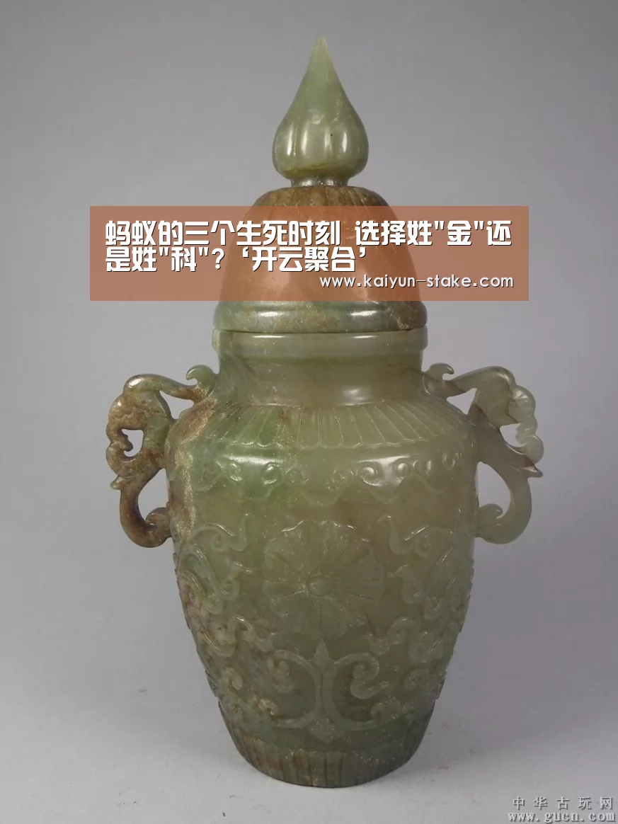 蚂蚁的三个生死时刻 选择姓金还是姓科?‘开云聚合’(图4) 开云赛程