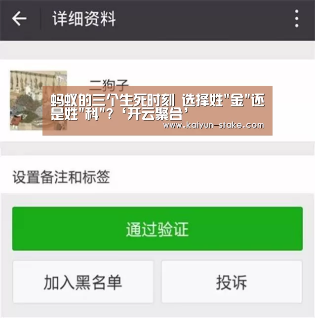 蚂蚁的三个生死时刻 选择姓金还是姓科?‘开云聚合’(图2) 开云聚合