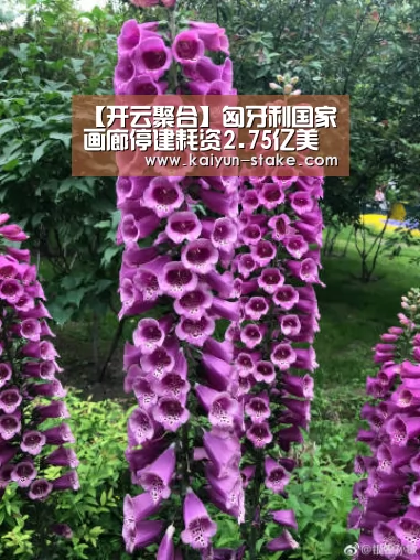 【开云聚合】匈牙利国家画廊停建耗资2.75亿美元(图1) 开云官网