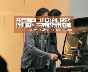 开云官网-小微企业贷款还难吗?三家银行用数据说话(图1) 开云聚合